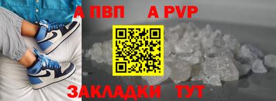 дурь Кингисепп