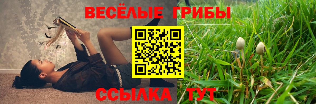Галлюциногенные грибы Magic Shrooms  Вход с VPN  где продают наркотики  Кохма 